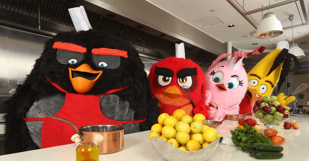 Family Star Winner - Angry Birds World